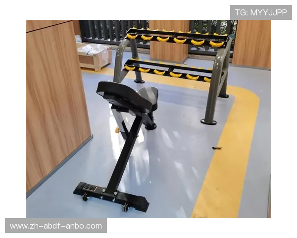 私人健身器材图片展示及功能介绍 私人健身器材图片展示及功能介绍