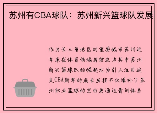 苏州有CBA球队：苏州新兴篮球队发展